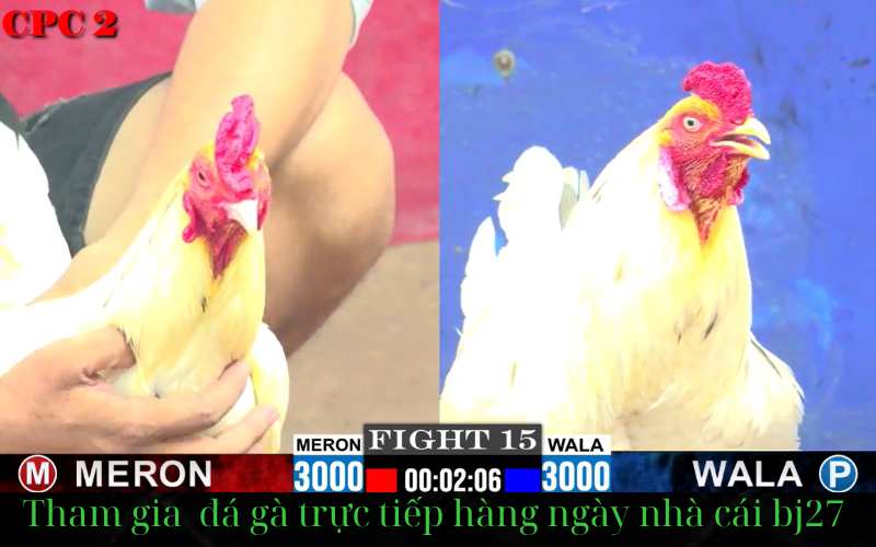 giao diện cấu hình chạy mượt nhất thị trường đá gà bj27