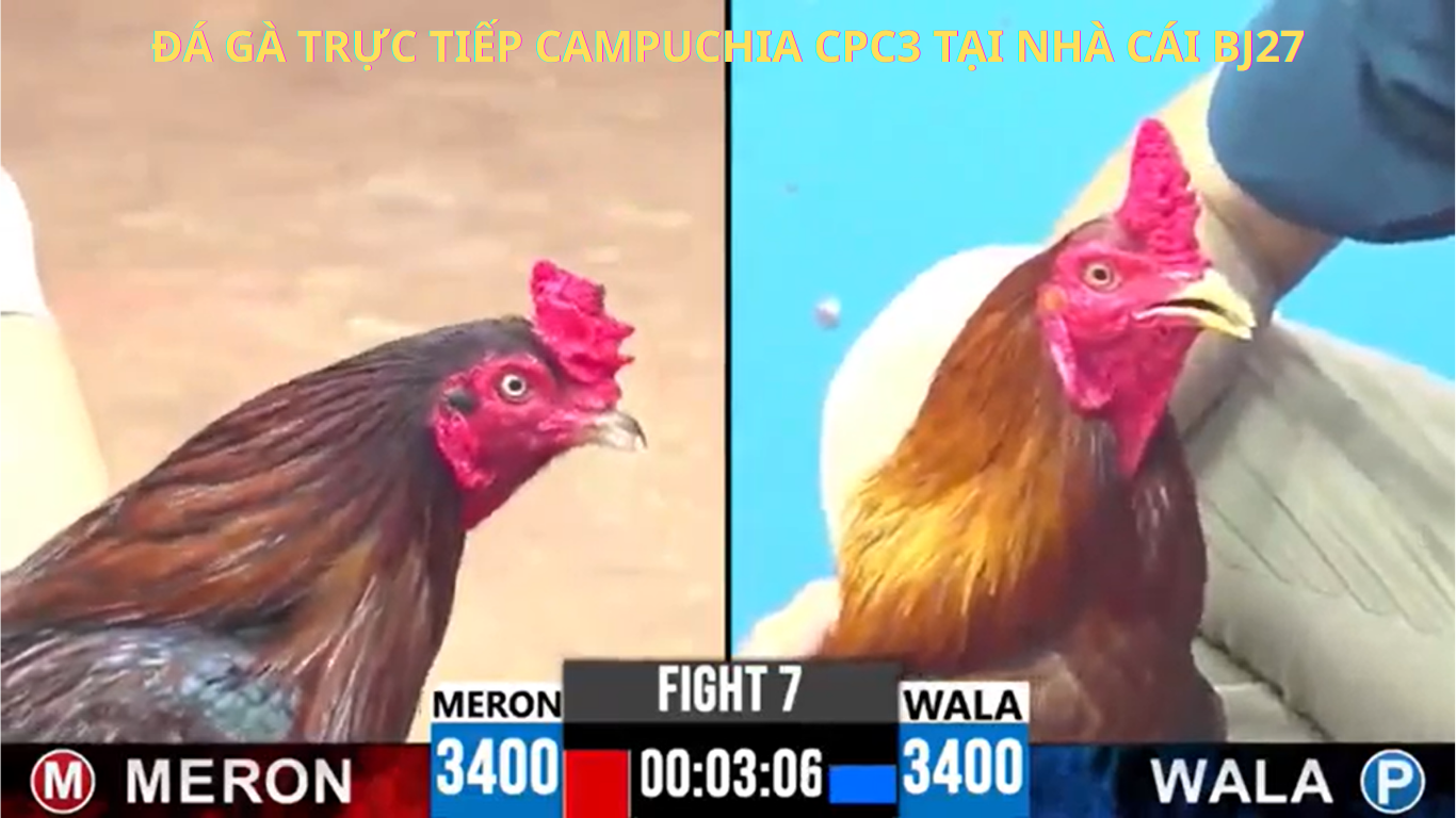 Cập Nhật Mới Nhất Từ Thomo CPC3