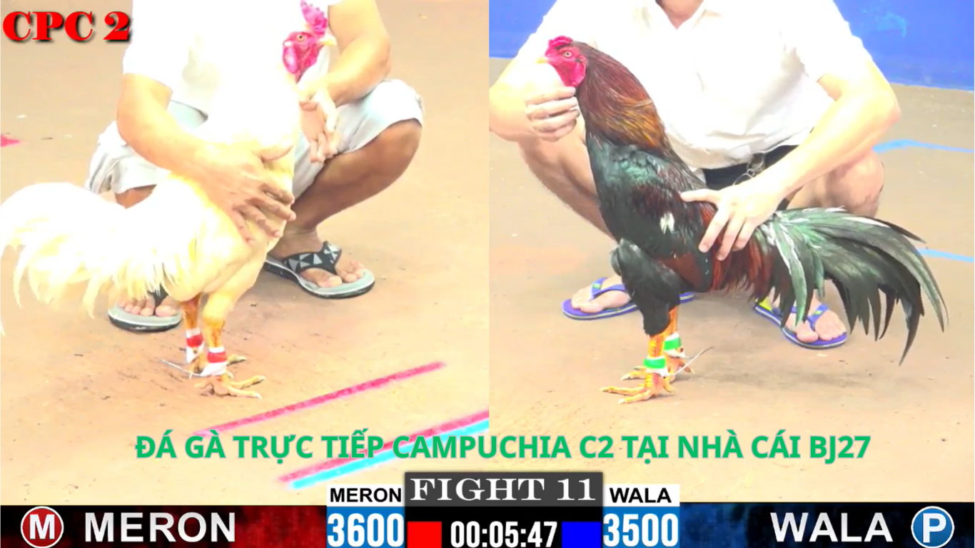 HƯỚNG DẪN TẢI APP ĐÁ GÀ CAMPUCHIA TẠI NHÀ CÁI BJ27.BAR