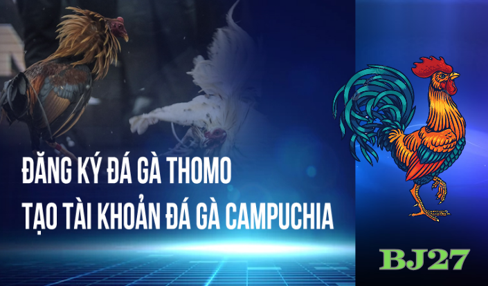 Bước Để Đăng Ký Tài Khoản Đá Gà Thomo Miễn Phí