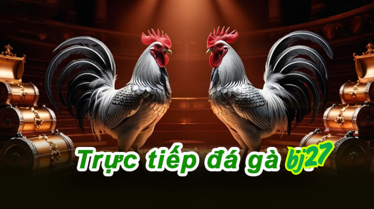 Tìm hiểu về Bj27 nhà cái đá gà