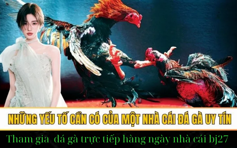 Ưu điểm & Nhược điểm của nhà cái BJ27 (BJ88, BJ38)