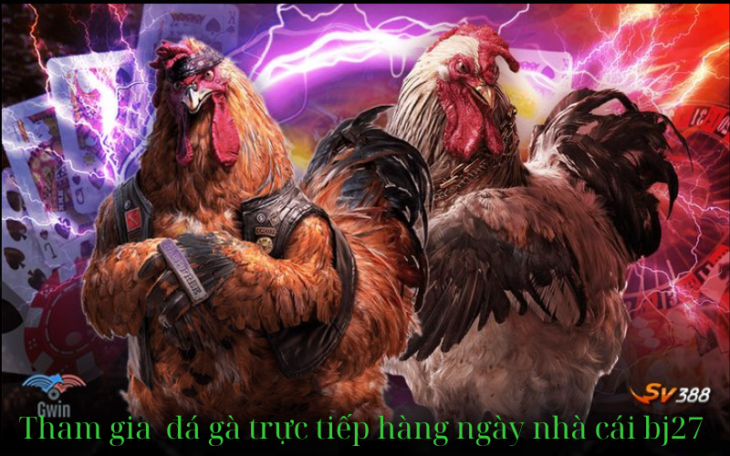 a group of chickens with a leather vest