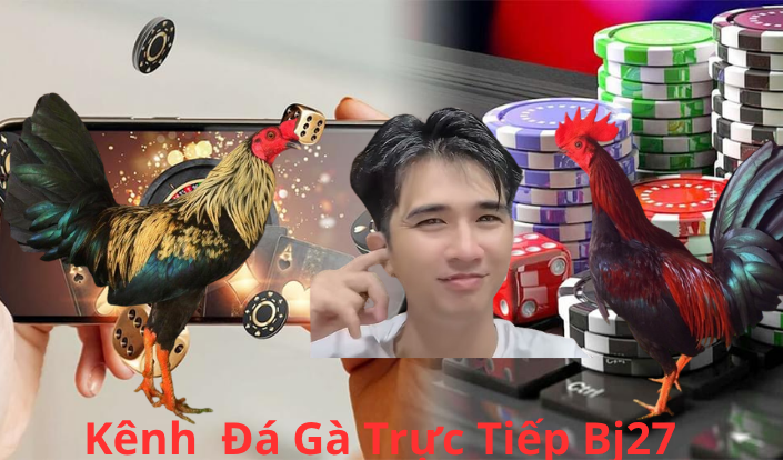 Đăng Ký Tài Khoản Đá Gà Thomo Miễn Phí Cùng Idol Bảo Sting Tại BJ27