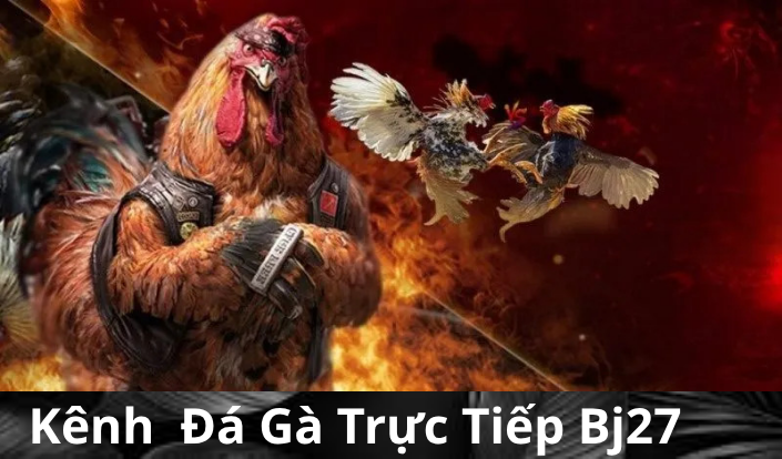 Kênh Đá Gà Trực Tiếp BJ27: Sân Chơi Uy Tín trong Thế Giới Đỏ Đen Rực Rỡ